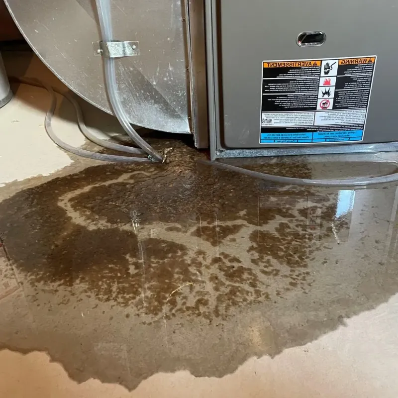 Pipe Burst and Leak Restoration in Stanton County, NE